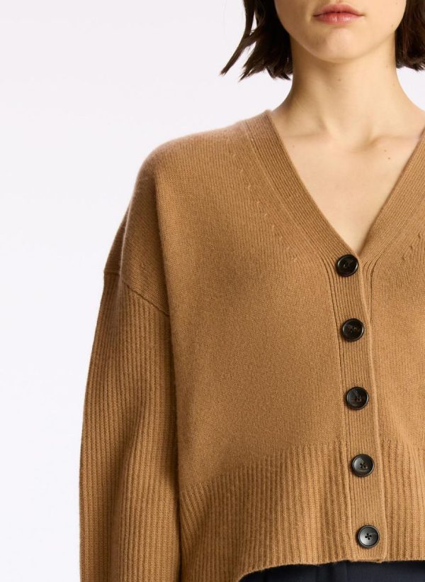 Barewear.shopcc5ee643c6 3